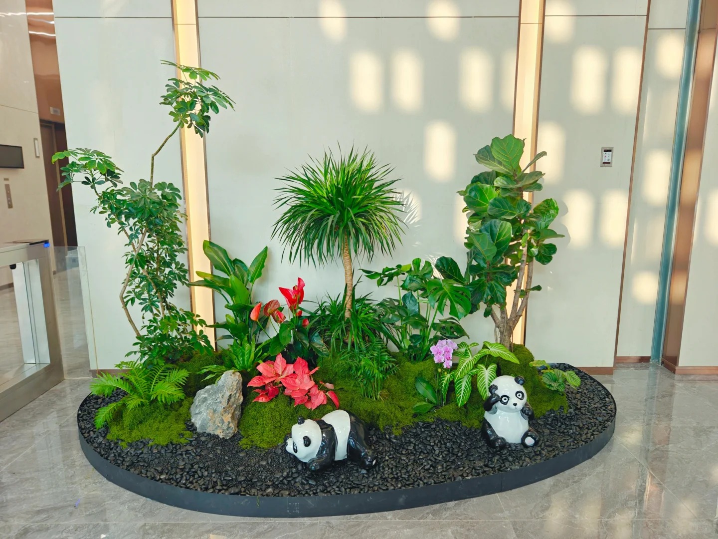 专业花卉租赁在慈溪，演绎缤纷花卉传奇